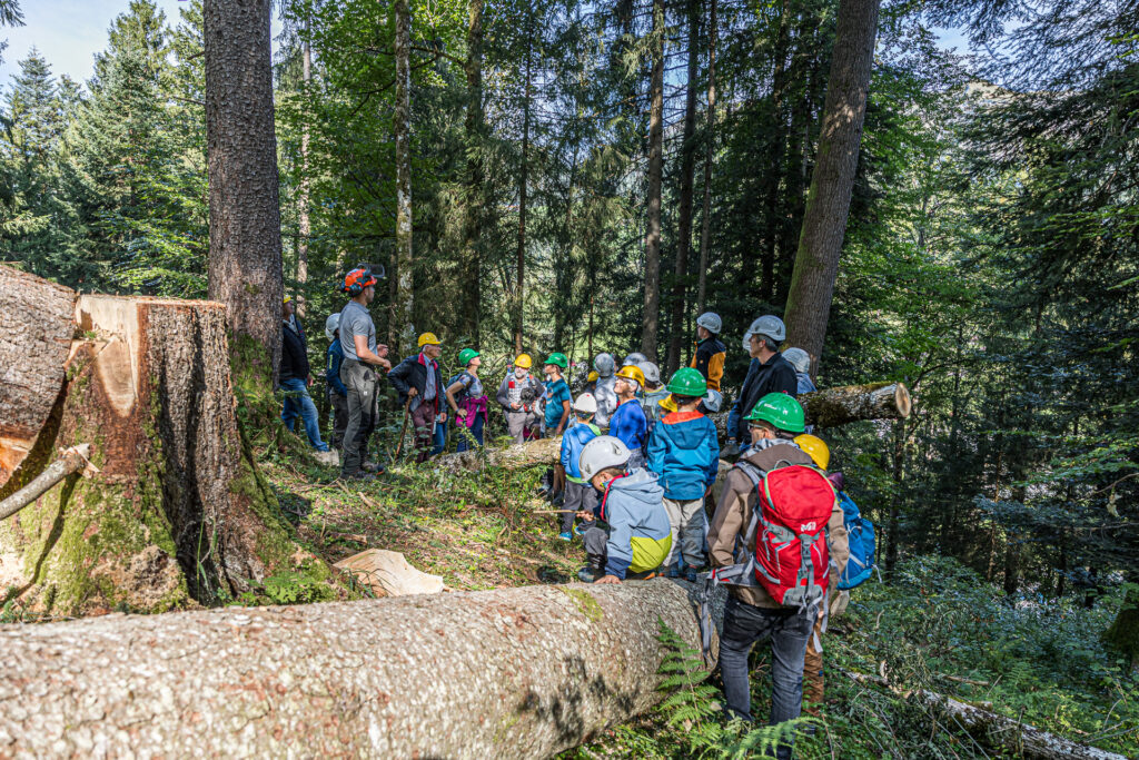 Gruppenführung im Wald