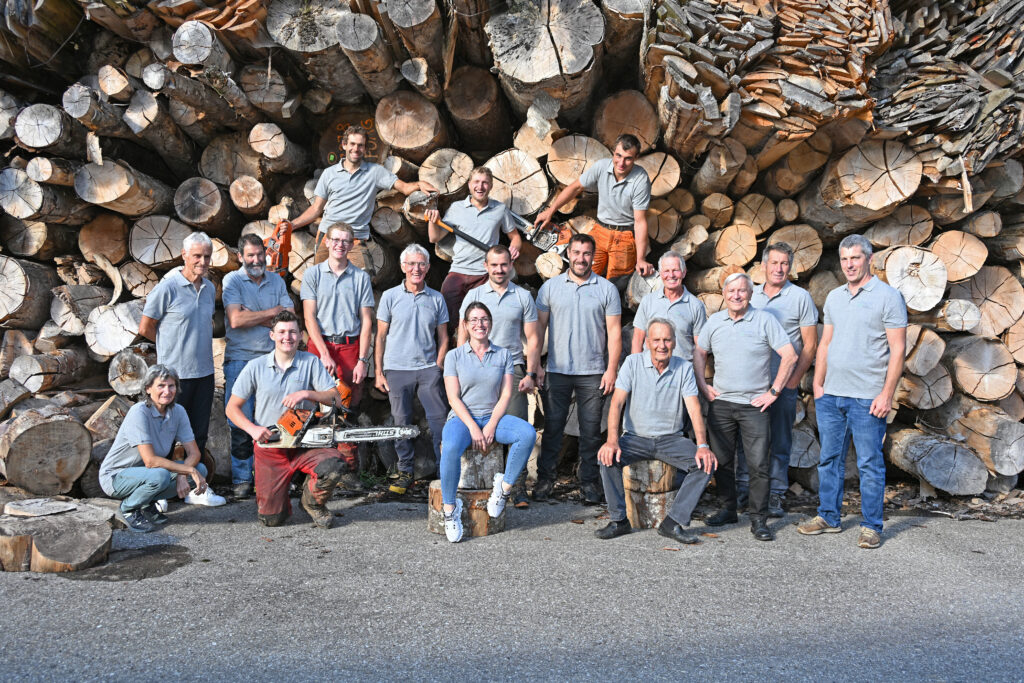 Das ganze Team der FOAG vor einem Haufen Hackholz