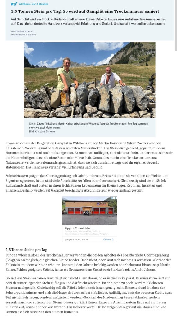 Artikel W&O Teil 1